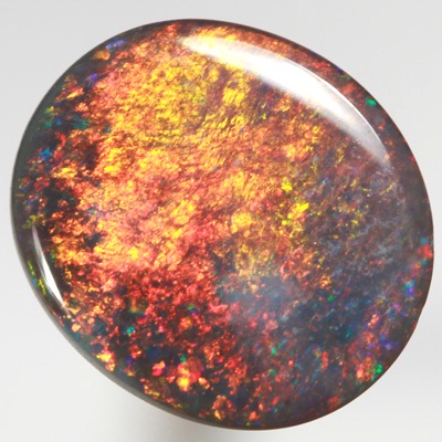 SOLID BLACK OPAL Burning golden fire, very bright! SEE VIDEO